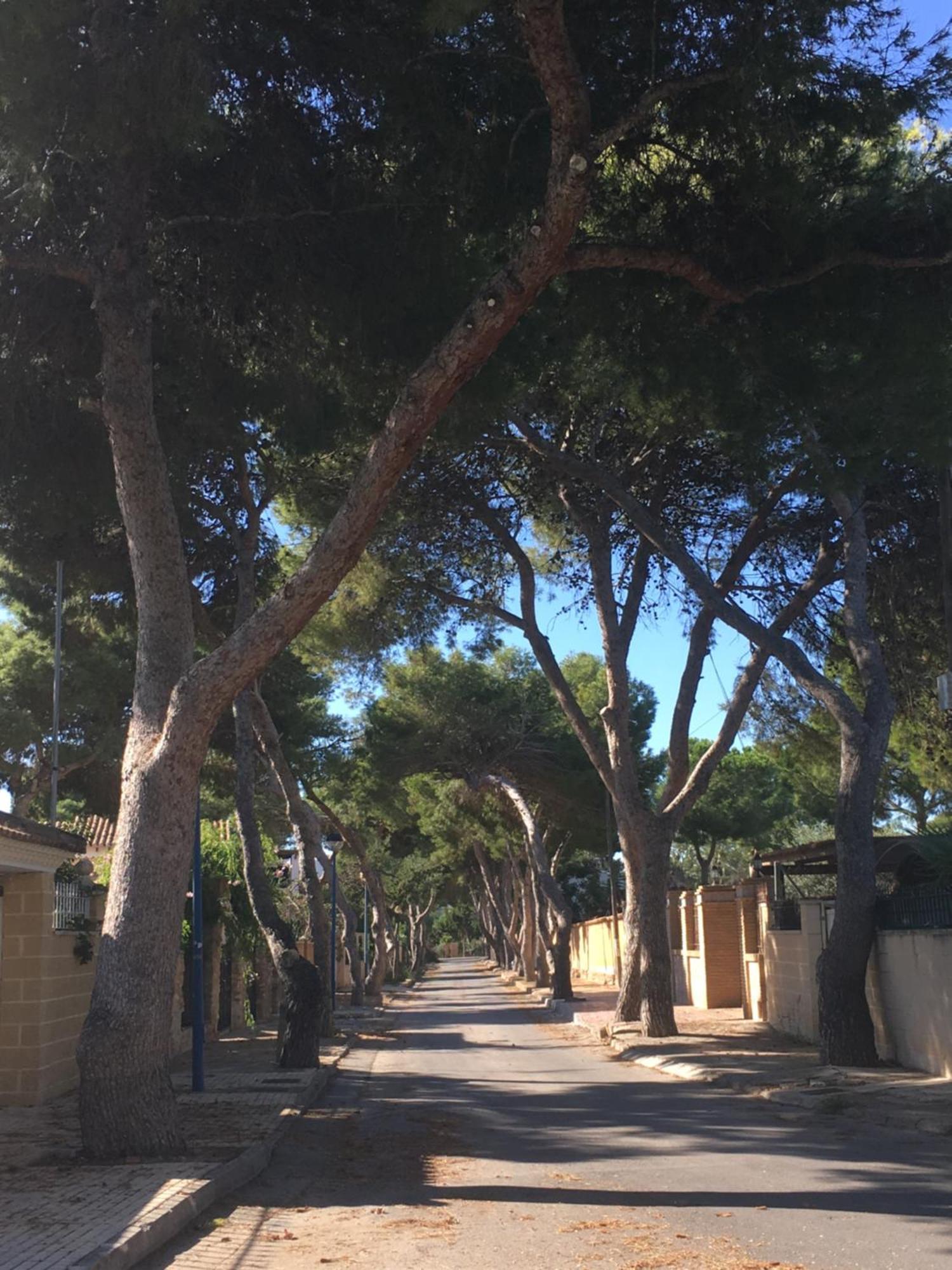 Feriehus Alicante Торевиеха Екстериор снимка